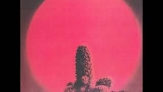 Cactus - Parchman Farm