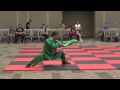 Kung Fu Demo - Mantis Style?