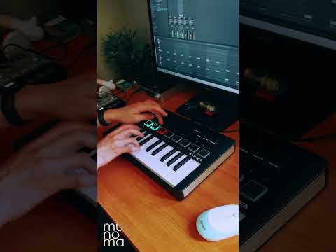 Kraftwerk - The Model (Live Loop Cover) #ableton #arturiaminilab #kraftwerk