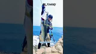 Dive into the world of fishing with our expertly crafted baits and rods!