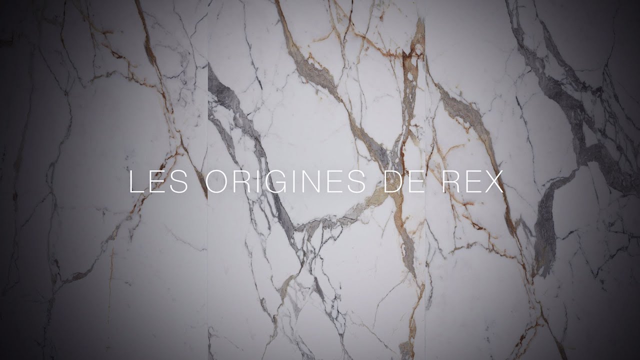 Origines de Rex