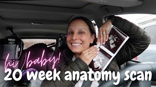 TIME FOR THE ANATOMY SCAN!! 20 WEEKS PREGNANT 👶🏼