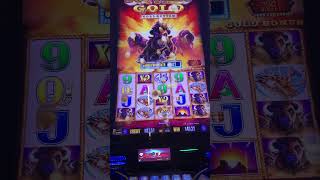 BIG WIN (Triple Wilds!) non bonus round then watch our BUFFALO GOLD JACKPOT!! (see link)