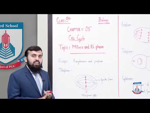 Class 9 - Biology - Chapter 5 - Lecture 3 , Topic Mitosis (Till Cytokinesis)  - Allied Schools
