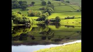 Automatic Life - The Martin Harley Band