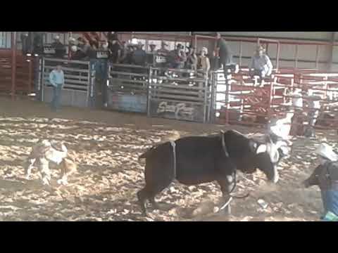 Ross Conner Youth Bullriding