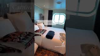 Carnival Venezia Deluxe ￼Ocean view 1270