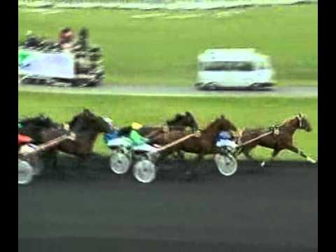 Prix d'Amerique 1998 -Dryade des Bois
