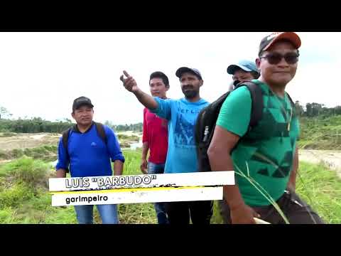 Reportagem e denúncia do garimpo em jacareacanga no Pará .