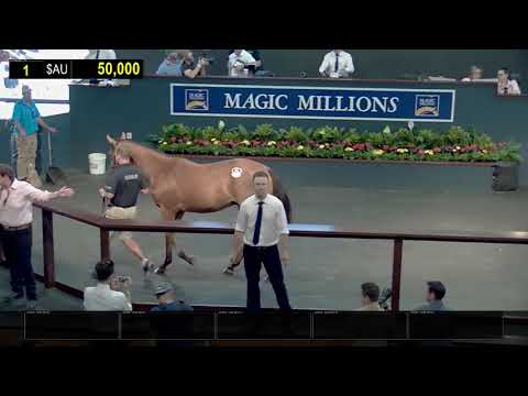 2020 Gold Coast Yearling Sale Day 1 (Replay)
