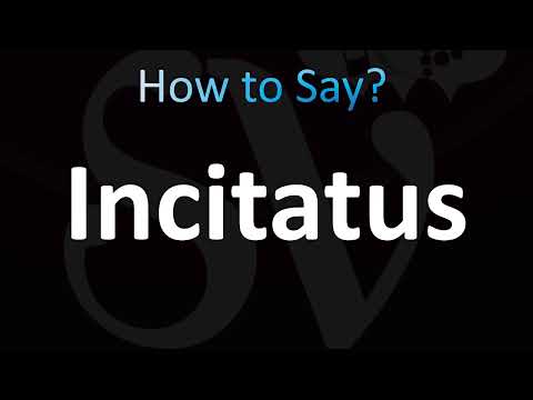 How to Pronounce Incitatus (CORRECTLY!)