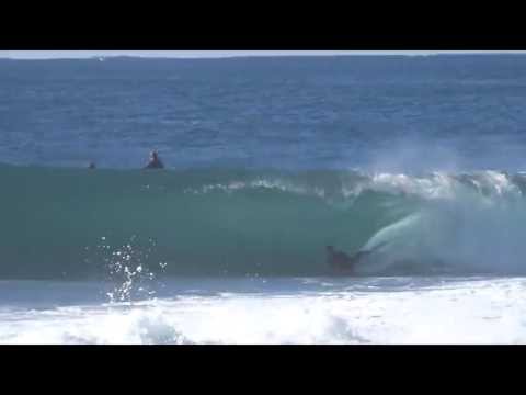 LA - Little Avalon Surf