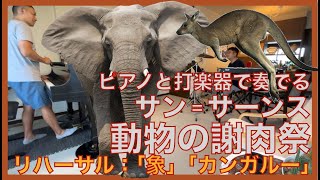 Download lagu ピアノと打楽器で奏でるサン=サーンス：動物の謝肉祭　「象」「カンガルー」のリハーサル mp3