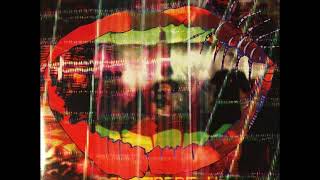 01 •  Animal Collective - Monkey Riches (Demo Length Version)