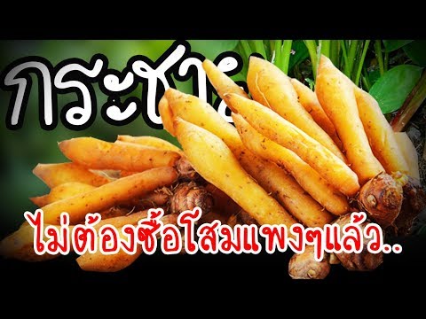 วิดีโอการออกกำลังกายเพื่อเพิ่มความแข็งแรง เพิ่มสมาชิก tetracycline