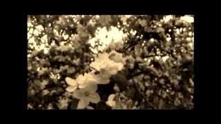 История одной жизни. Фильм про Микаеляна Торгома Сумбатовича. Герое ВОВ