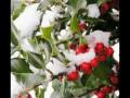 THE HOLLY AND THE IVY by Loreena McKennitt ...