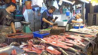Seafood and Fish in Hong Kong Amazing Wet Markets. World Food and Street Food