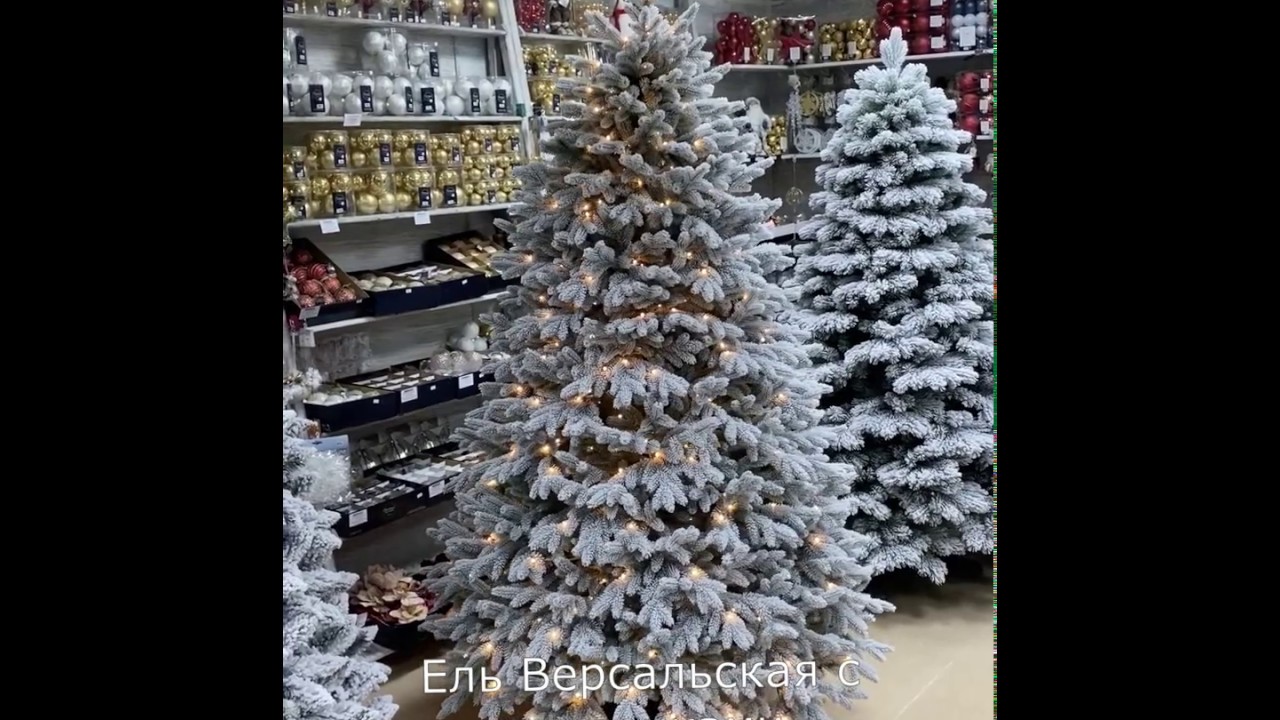 Max christmas версальская заснеженная