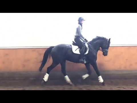 Maharishi - 4j. - Millenium / Connery