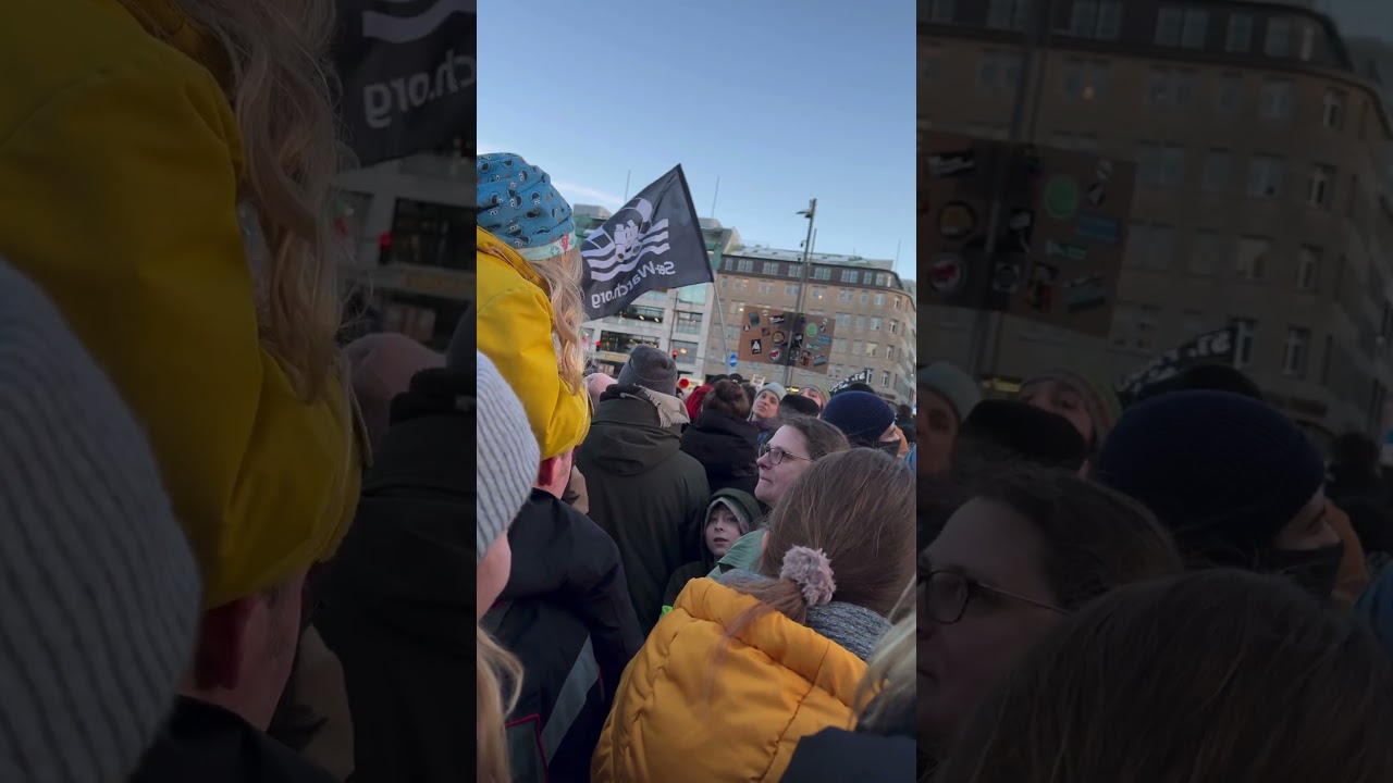 Tausende demonstrieren in Hamburg gegen AfD und Rechtsextremismus