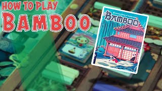 kovray - Bamboo video thumbnail