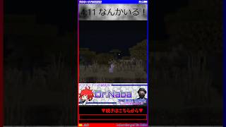 [マイクラ] なんかいるゾ！[Minecraft]