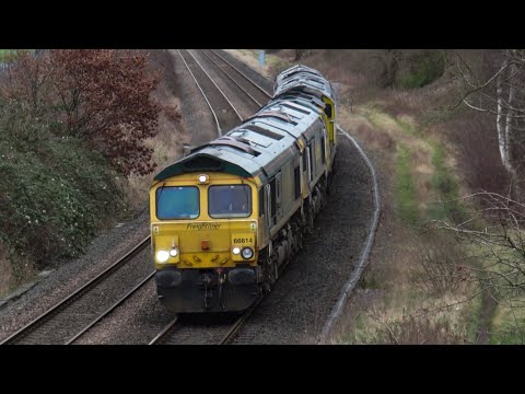 *FL Convoy* 66614 + 66620 + 70011 + 66615 + 66618 on 0K98 @ Cow Lane on 01.02.2020 - HD