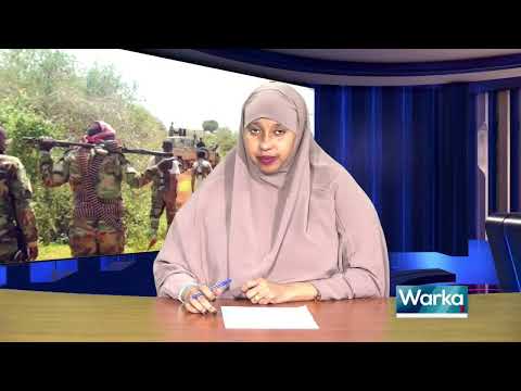 WARKA HABEEN EE SNTV 19.01.2023.