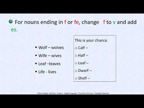 Plural Form Of Student Top Scholarships Scholarship Information
