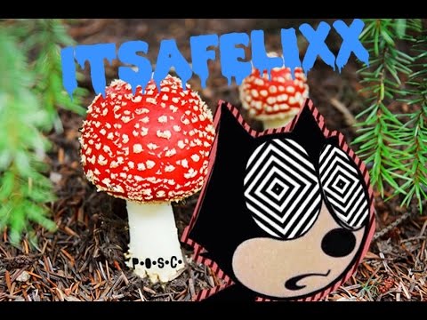 itsaFELIxx Volume 3