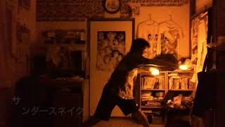 【ヲタ芸】、