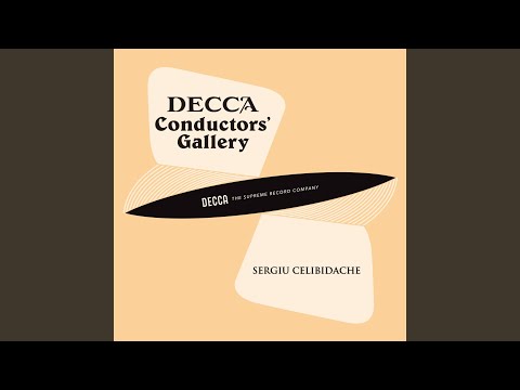 Tchaikovsky: Symphony No. 5 in E Minor, Op. 64, TH 29: I. Andante - Allegro con anima