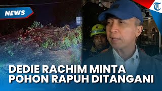 ANTISIPASI! Wali Kota Bogor Dedie Rachim Minta Pohon yang Rapuh di Bogor Segera Ditangani