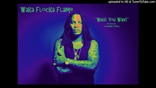 Waka Flocka Flame Type Beat-What You Want-Prod.by DJPHANATICBEATS.COM