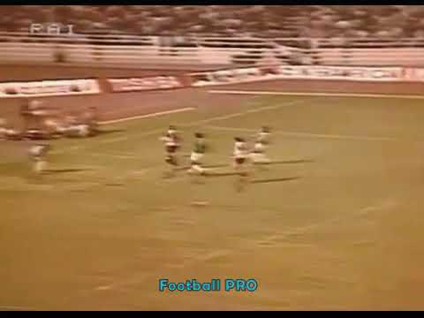 ECC 1984-85. Round 1. Panathinaikos - Feyenoord. Highlights.