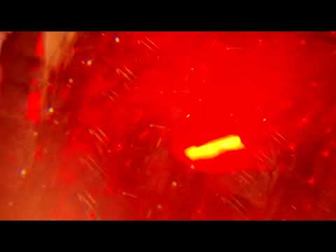 Missouri Executive Order 44 (record release show 8-16-24 - full set - raw footage)