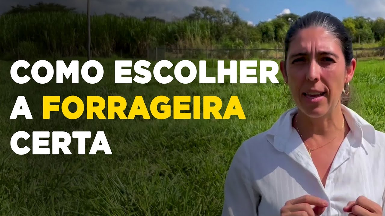 COMO ESCOLHER A MELHOR FORRAGEIRA PARA A SUA PROPRIEDADE - Profa. Janaina Martuscello