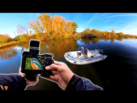 FOTO to GO 43 📸🚤 Dem Eisvogel auf der Spur!