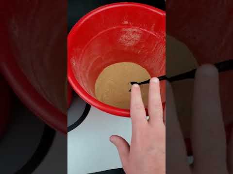 Best DIY Roach Chow For Breeding Feeder Roaches - Benjamin's Exotics