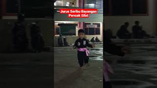 Download lagu Jurus Seribu Bayangan Pencak Silat #pencaksilat #shorts mp3