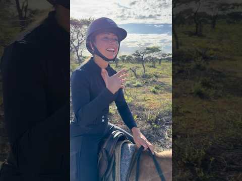 Pferdehofliebe - Pyjamadonkeys, Langhalskamele und Billigbüffel😂 #pferd #safari #afrika #shorts