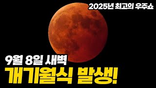 2025년 9월 8일 개기월식 발생! 관측 시간과 관측 방법 전부 알려드림 [미드나잇]