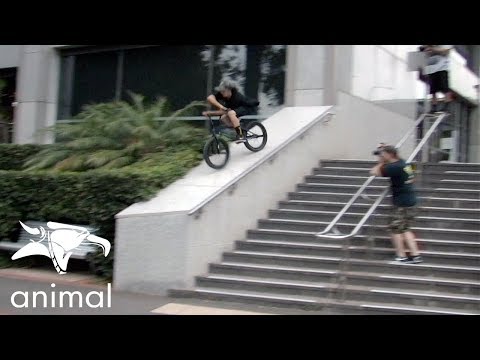 ANIMAL BIKES - JAMES PEASE 2019 (BMX)