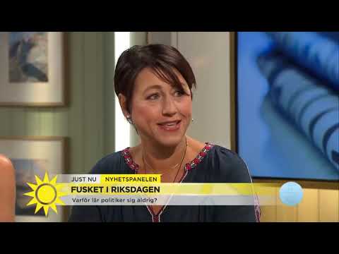 Fusket i riksdagen – Ingen stor politisk skandal   Nyhetsmorgon TV4