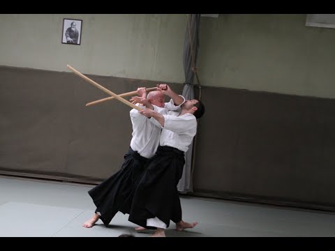 aikido in Prague March 2023 with Roche sensei 7.dan