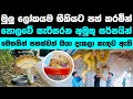 පොලවේ සැරිසරන අමුතුම සර්පයින් වර්ග | Amazing snakes in our w