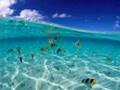 Chicane - Offshore (Ambient Mix) 