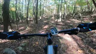 Lots of flowing fun on Red White and Blue