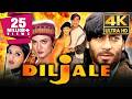Diljale 4k Ultra HD Bollywood Superhit Movie Ajay Devgn Sonali Bendre Madhoo Parmeet Sethi